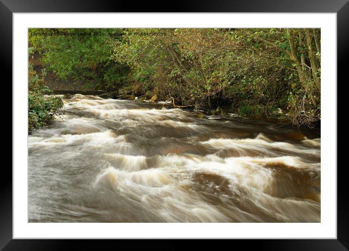 RAPID WATER Framed Mounted Print by andrew saxton