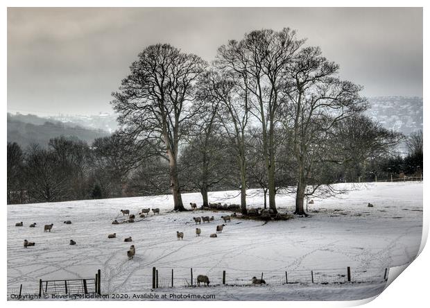 Winter in Wharfedale Print by Beverley Middleton