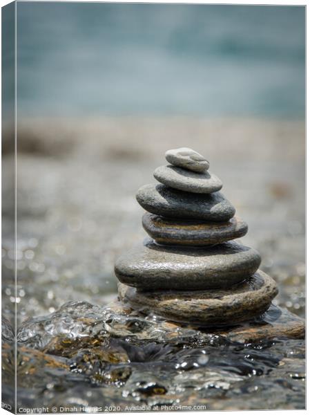 Tranquility Stones Canvas Print by Dinah Haynes