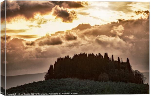 Tuscan landscape with cypress and sunbeams at sunset. Canvas Print by Antonio Gravante