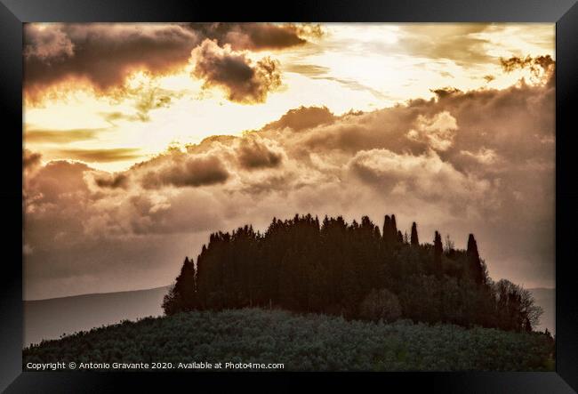 Tuscan landscape with cypress and sunbeams at sunset. Framed Print by Antonio Gravante