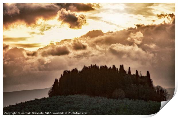 Tuscan landscape with cypress and sunbeams at sunset. Print by Antonio Gravante