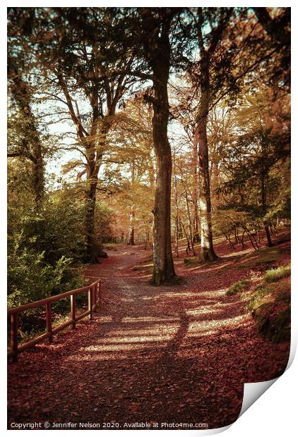 Hidden Pathways - Tollymore Forest Park  Print by Jennifer Nelson