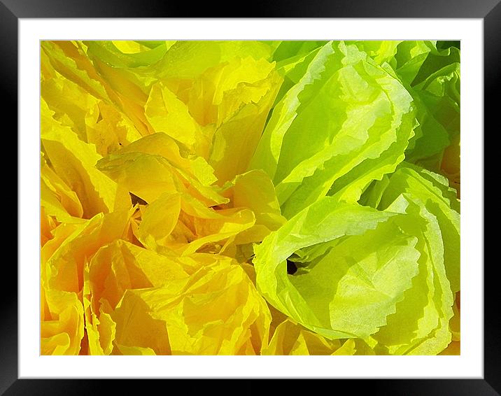 Lemon Lime abstract Framed Mounted Print by Patti Barrett