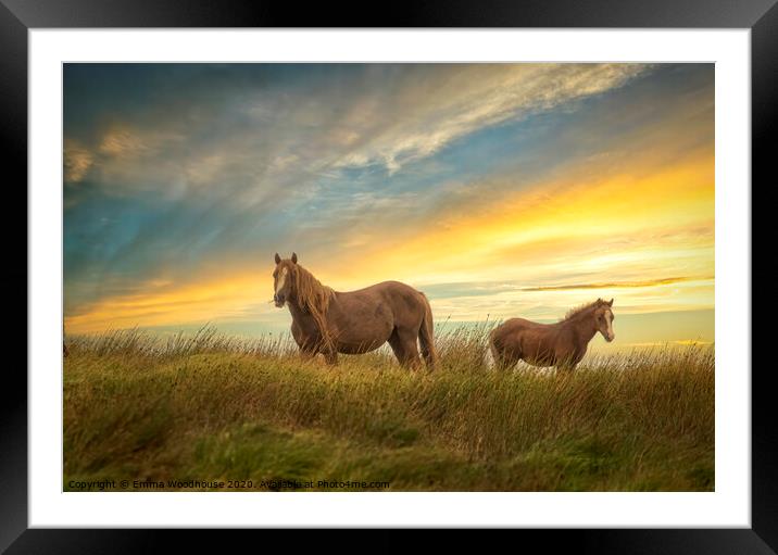 Brecon Ponies Framed Mounted Print by Emma Woodhouse