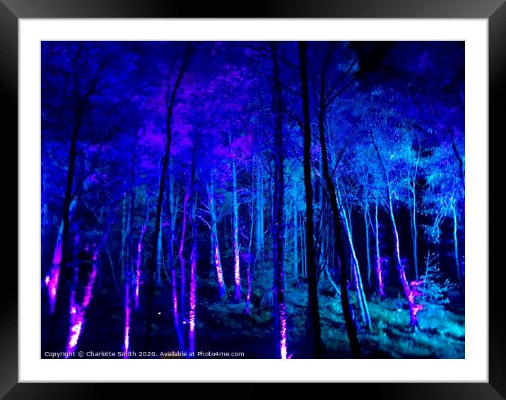 Enchanted Forest Framed Mounted Print by Charlotte Smith