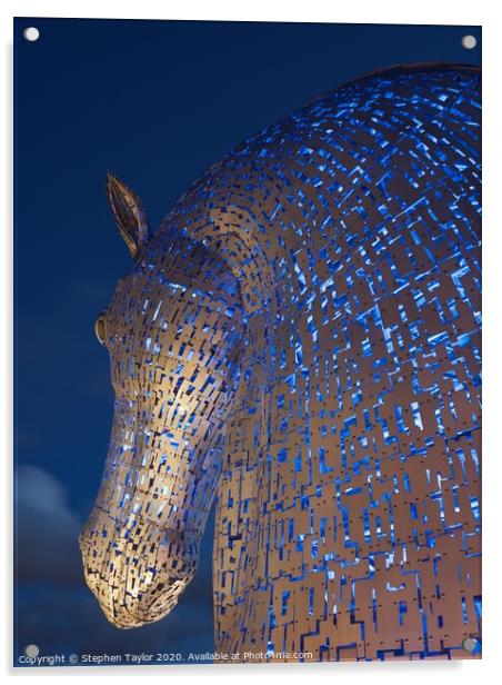 The Kelpies at night Acrylic by Stephen Taylor