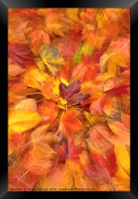 Autumn leaf collage Framed Print by Simon Johnson