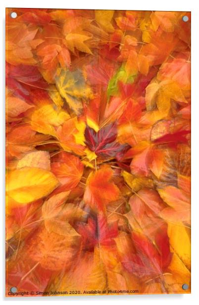 Autumn leaf collage Acrylic by Simon Johnson