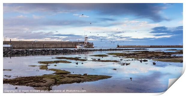 Seahouses Harbour Sunset Print by Heidi Stewart