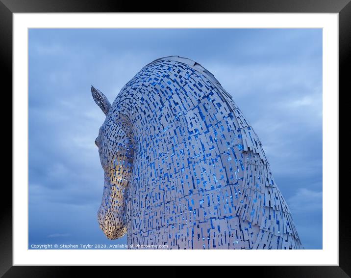 A horses main Framed Mounted Print by Stephen Taylor