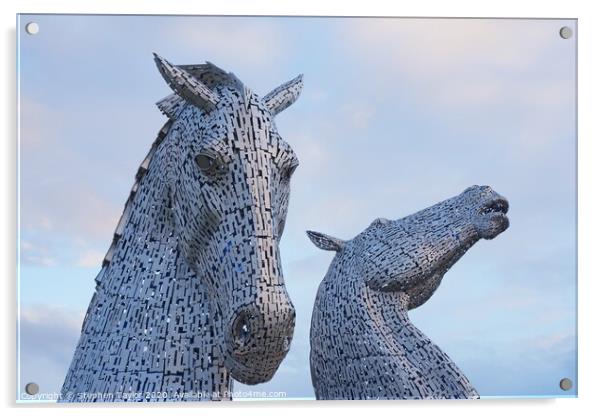 The Kelpies at dawn Acrylic by Stephen Taylor