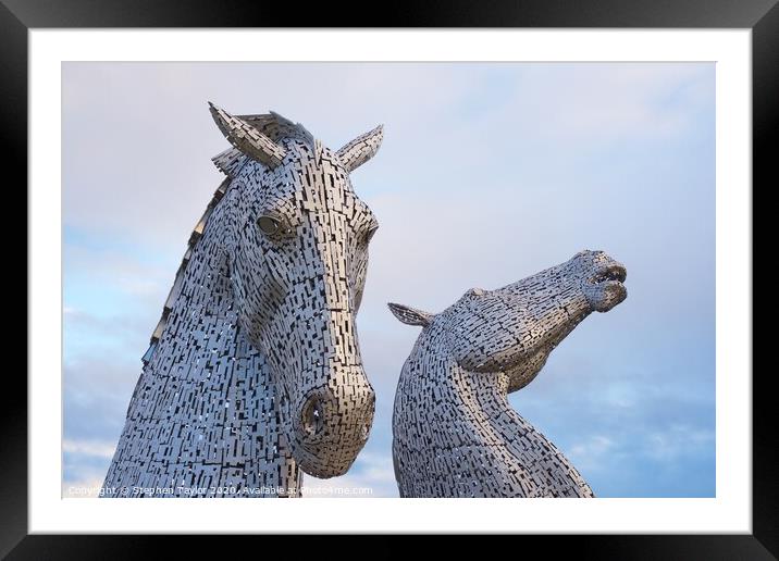 The Kelpies at sunrise Framed Mounted Print by Stephen Taylor