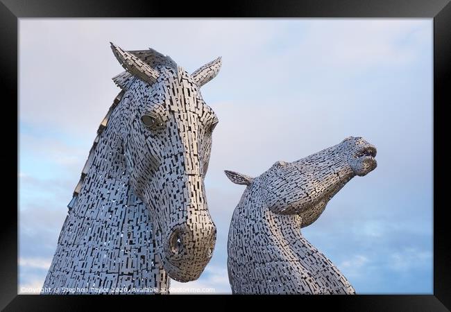 The Kelpies at sunrise Framed Print by Stephen Taylor