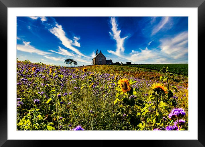 Sunflowers and Flax,Boarhills Church Framed Mounted Print by Andrew Beveridge
