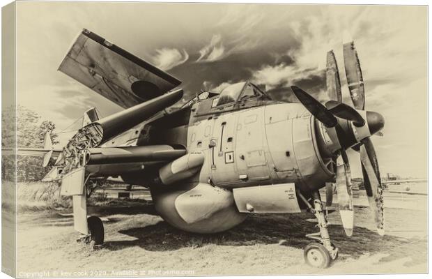 Fairey Gannet Canvas Print by kevin cook