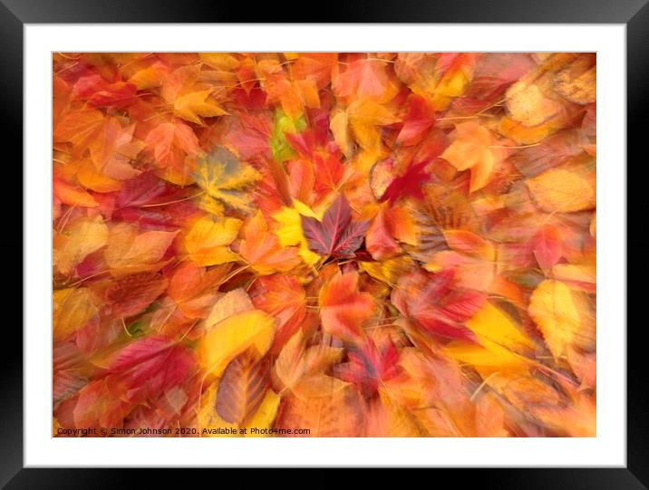 Autumn collage Framed Mounted Print by Simon Johnson