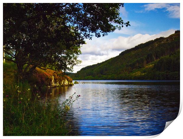 Loch Avich Print by Steven Watson