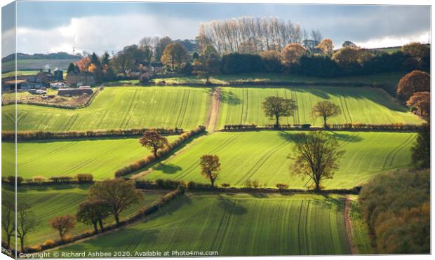 Yorkshire farmland Canvas Print by Richard Ashbee