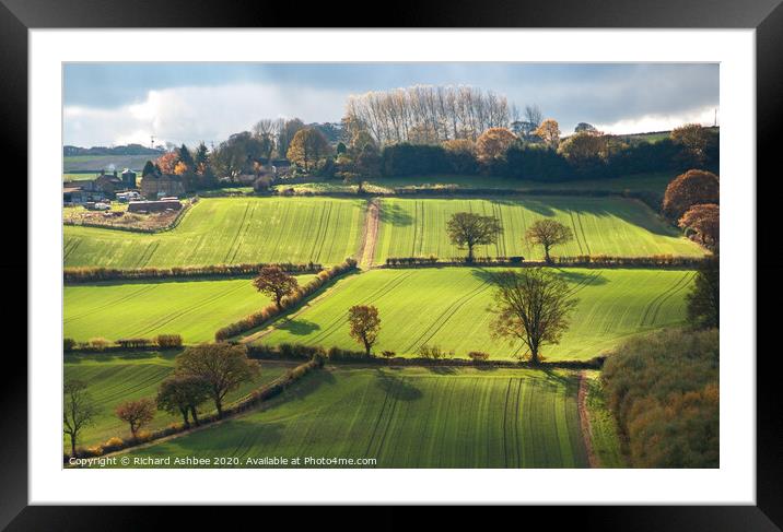 Yorkshire farmland Framed Mounted Print by Richard Ashbee