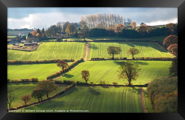Yorkshire farmland Framed Print by Richard Ashbee
