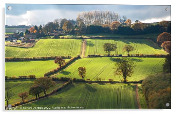 Yorkshire farmland Acrylic by Richard Ashbee