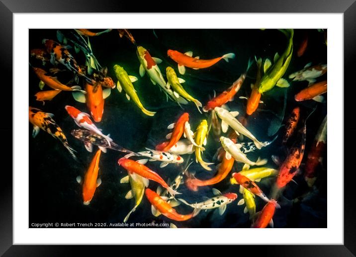 Abstract Koi Framed Mounted Print by Robert Trench