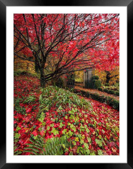 Autumn Garden Framed Mounted Print by Simon West