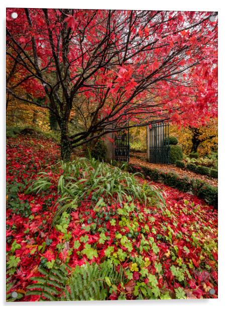 Autumn Garden Acrylic by Simon West