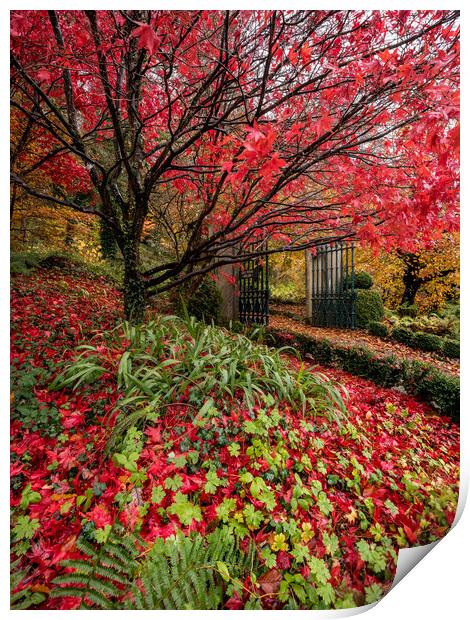Autumn Garden Print by Simon West