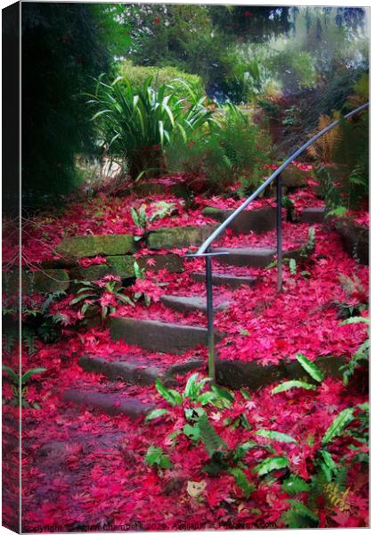 Autumn's Red Carpet Canvas Print by Alison Chambers