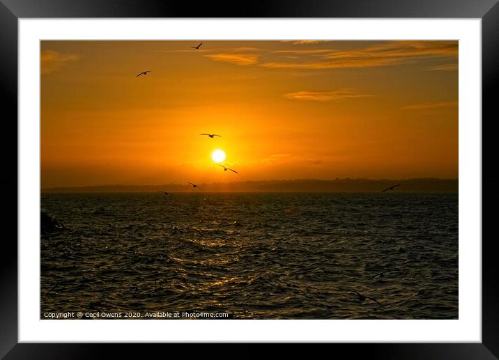 Sky sun, birds, sea Framed Mounted Print by Cecil Owens