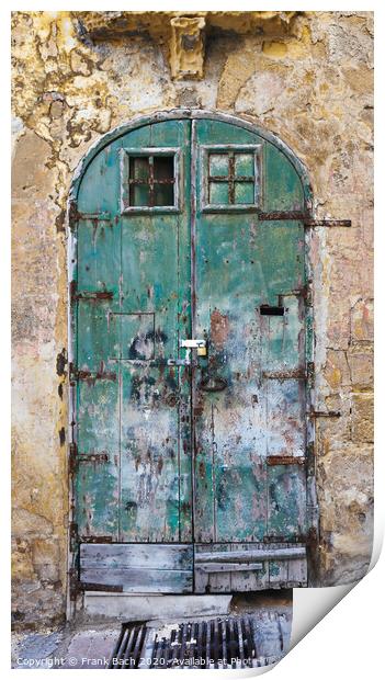 Old green fringed door Print by Frank Bach