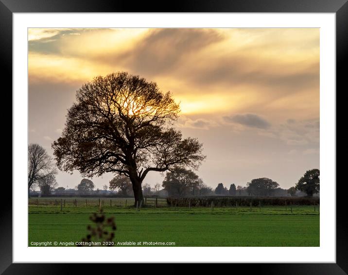 Afternoon Sky Framed Mounted Print by Angela Cottingham