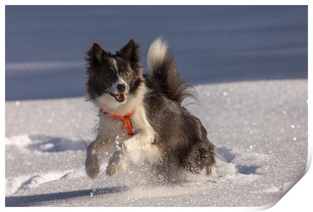 Amy in the snow Print by Thomas Schaeffer