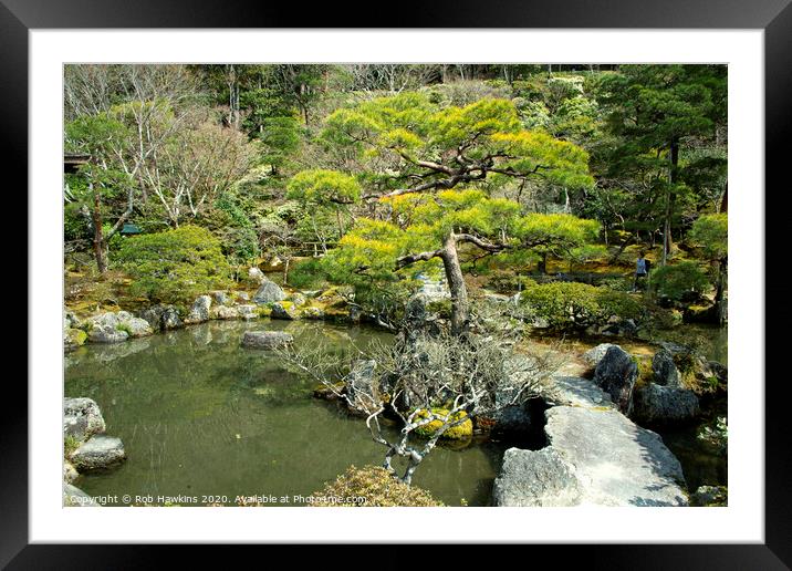 Kyoto Garden  Framed Mounted Print by Rob Hawkins
