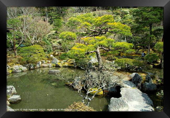 Kyoto Garden  Framed Print by Rob Hawkins