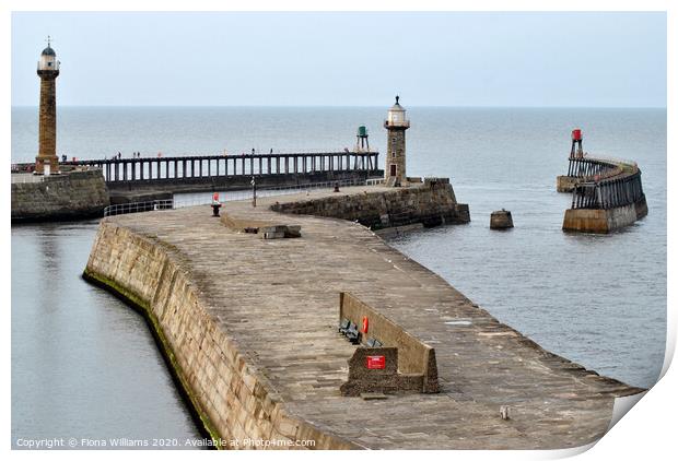 lighthouses at the end of the piers at whitby harb Print by Fiona Williams