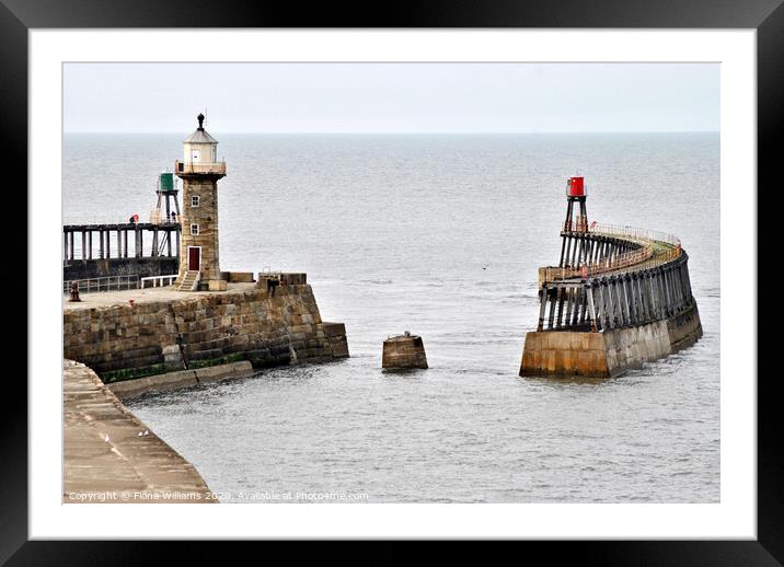 View of whitby piers and lighthouses from the clif Framed Mounted Print by Fiona Williams