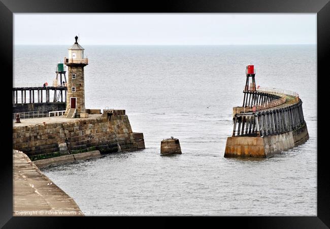 View of whitby piers and lighthouses from the clif Framed Print by Fiona Williams