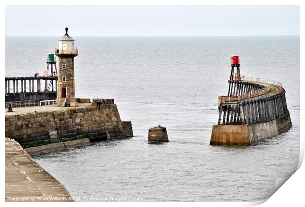 View of whitby piers and lighthouses from the clif Print by Fiona Williams