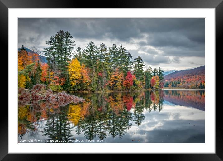 Reflecting on Autumn Framed Mounted Print by Viv Thompson