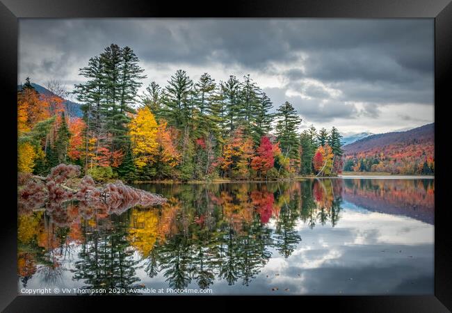 Reflecting on Autumn Framed Print by Viv Thompson