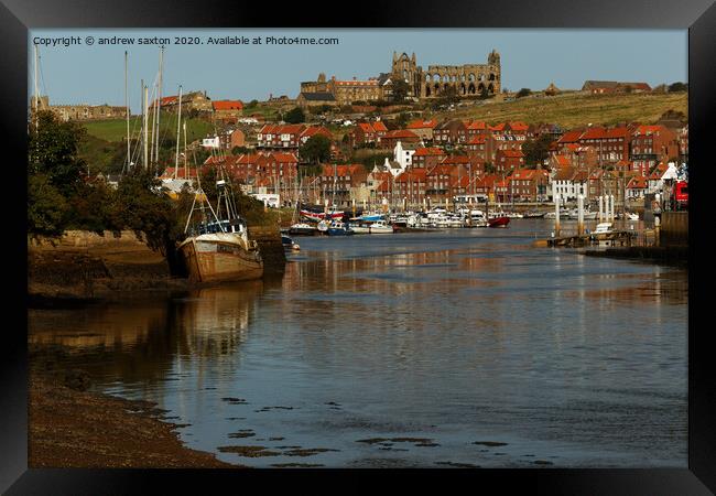 Whitby harbour Framed Print by andrew saxton