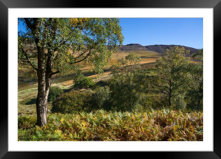 Autumn colour in Chew Valley near Dove Stone reservoir, Peak District Framed Mounted Print by Andrew Kearton