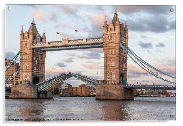 Tower Bridge Acrylic by David Belcher
