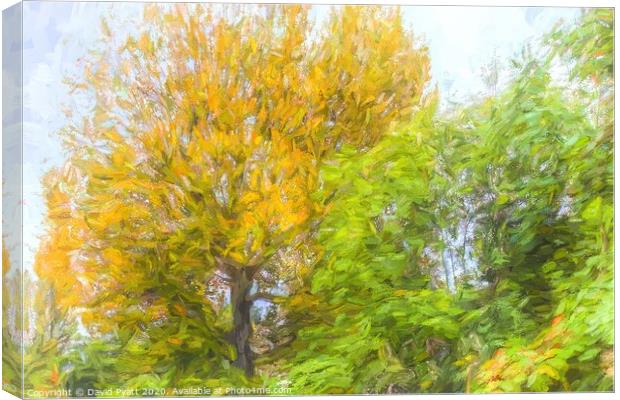 Autumn Tree Art Canvas Print by David Pyatt