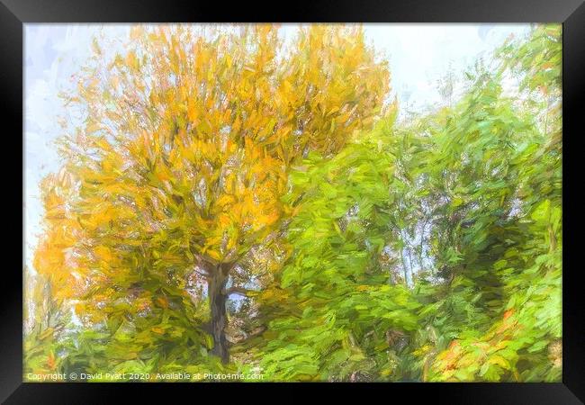 Autumn Tree Art Framed Print by David Pyatt