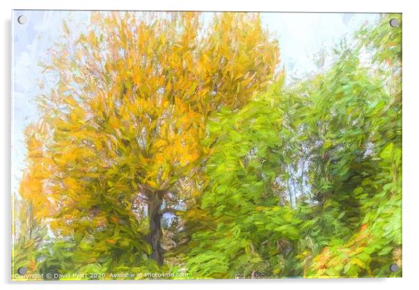 Autumn Tree Art Acrylic by David Pyatt