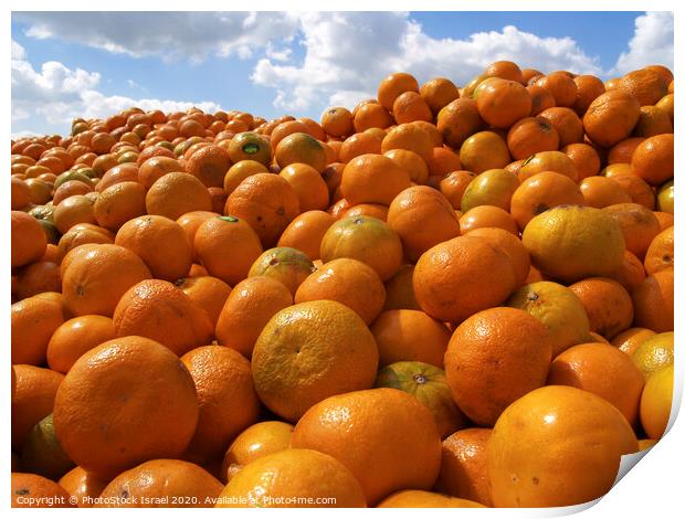 clementine  Print by PhotoStock Israel